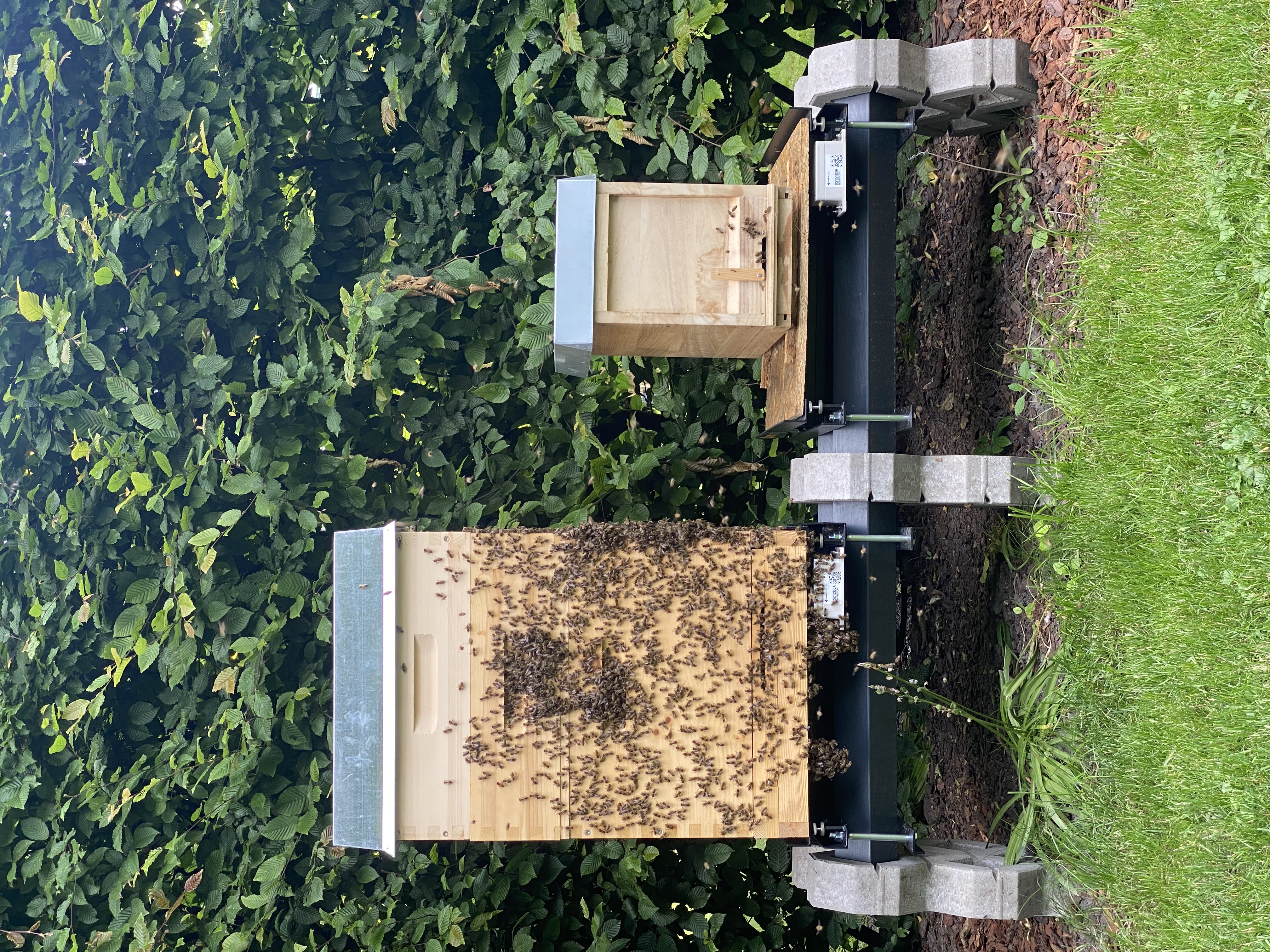 Bienenstock in den Gärten Hochkamps